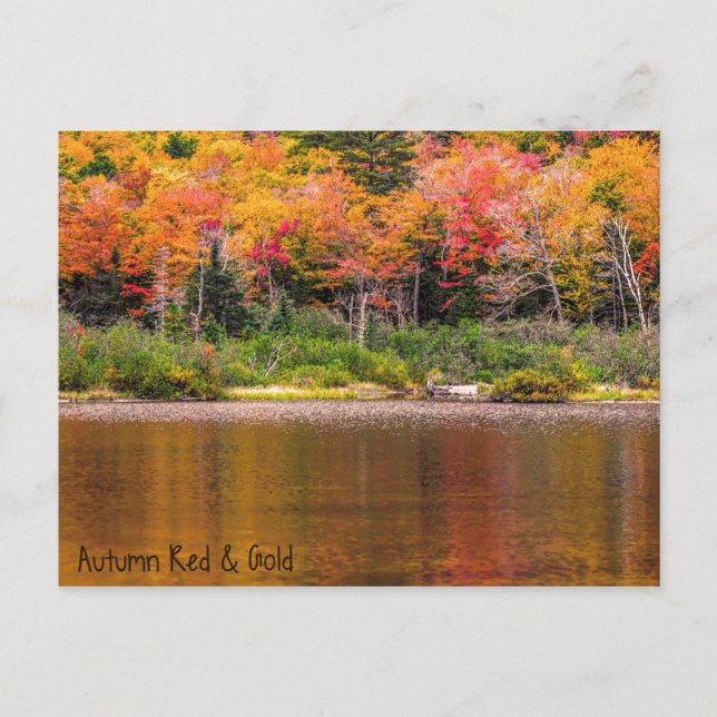 Herbst Rot & Gold Postkarte (Vorderseite)