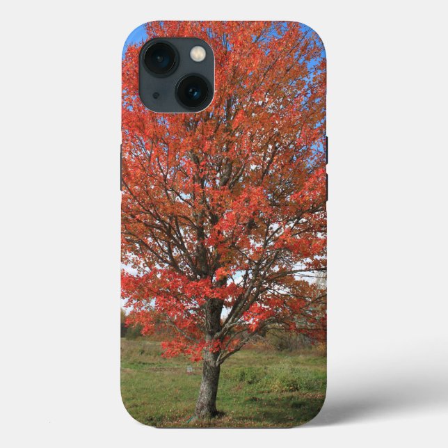 Herbst roter Ahornbaum am blauen Himmel Case-Mate iPhone Hülle (Rückseite)