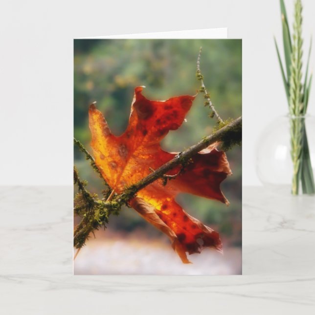 Herbst-rotes Blatt-Natur-Foto Karte (Vorderseite)