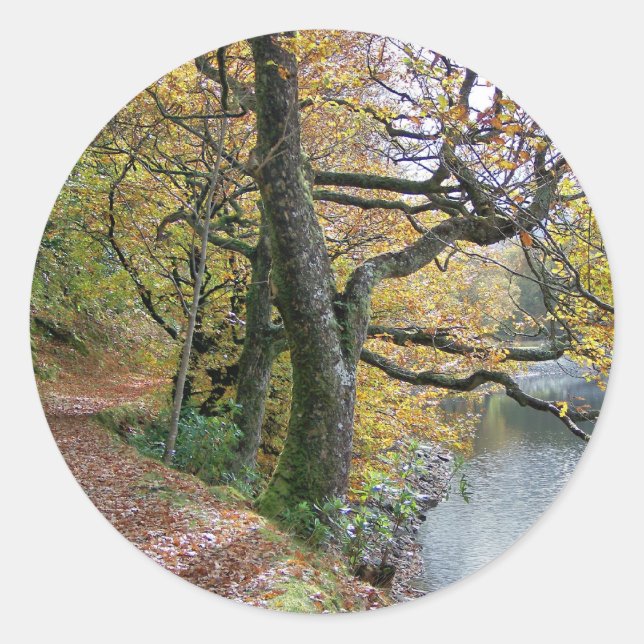 HERBST RUNDER AUFKLEBER (Vorderseite)