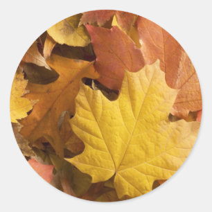 Herbst-Sammlung Golden Blätter Stickers