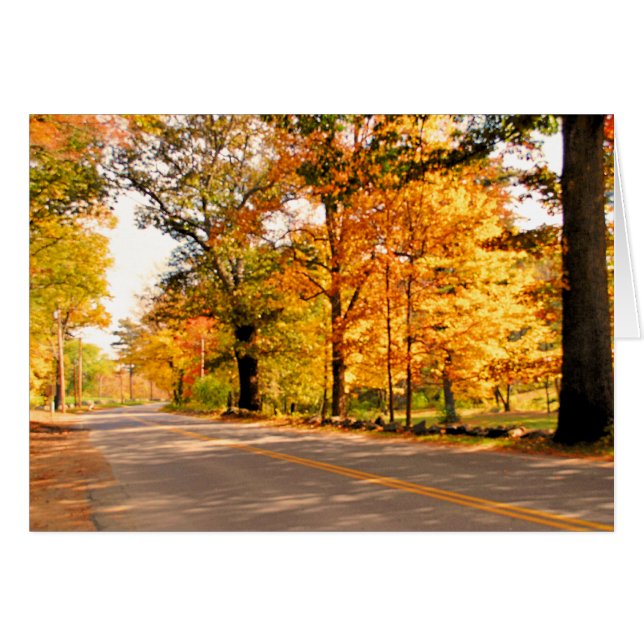 HERBST-SCHIMMER (Vorderseite (Horizontal))