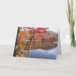 Herbst-Schönheit Karte