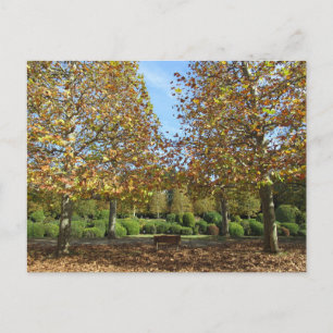 Herbst: Shinjuku Gyoen Nationalpark, Tokio Postkarte