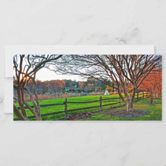 Herbst Sonnenuntergang von Shirley Taylor (Vorderseite)