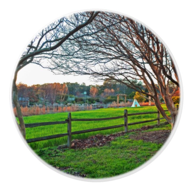 Herbst Sonnenuntergang von Shirley Taylor Keramikknauf (Vorderseite)