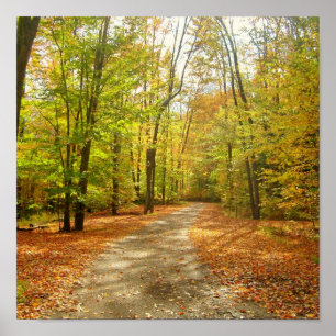 Herbst-Spur Poster