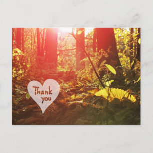 Herbst Sunshine Forest Herz Danke Postcard Postkarte