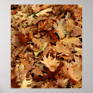 Herbst, trockene Blätter Poster