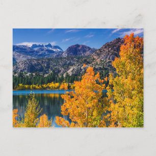 Herbst um June Lake, Kalifornien Postkarte