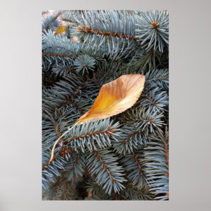 Herbst und Winter Poster