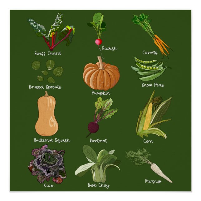 Herbst Veggies fallen Gemüseernte Poster (Vorderseite)