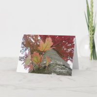 Herbst verlässt Beileids-Karte