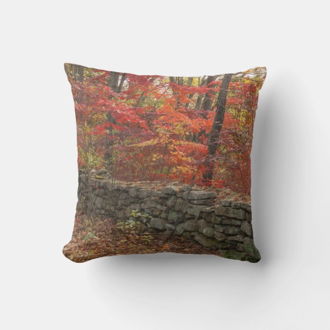 Herbst verlässt Bild - Herbstlaubthrow-Kissen Kissen (Vorderseite)