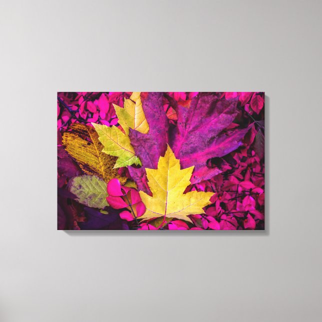 Herbst verlässt Collage von Thomas Minutolo Leinwanddruck (Vorderseite)