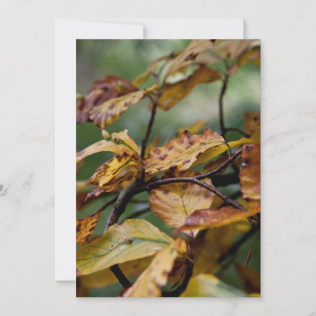 Herbst verlässt Erntedank Einladung (Vorderseite)