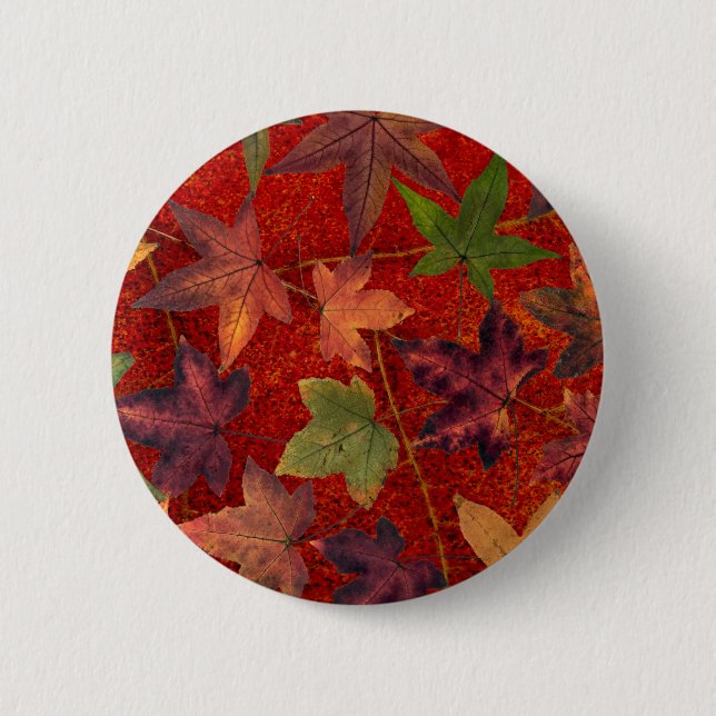 Herbst verlässt Fall-Jahreszeit-Baum-Blatt bunt Button (Vorderseite)