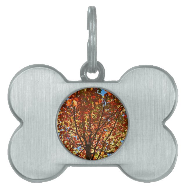 Herbst verlässt Fireworks Tiermarke (Vorderseite)