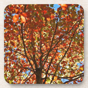 Herbst verlässt Fireworks Untersetzer