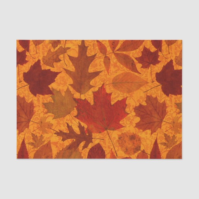 Herbst verlässt Orange Seidenpapier (Vorderseite)