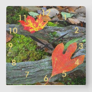 Herbst verlässt Wall-Uhr Quadratische Wanduhr