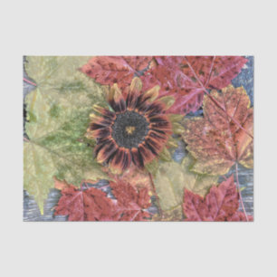 Herbst Vintag Sonnenblumen Rustikal-braune Ahorn-B Seidenpapier