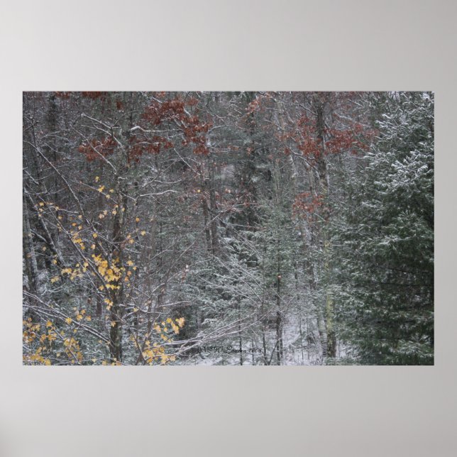 Herbst vor Winter Poster (Vorne)