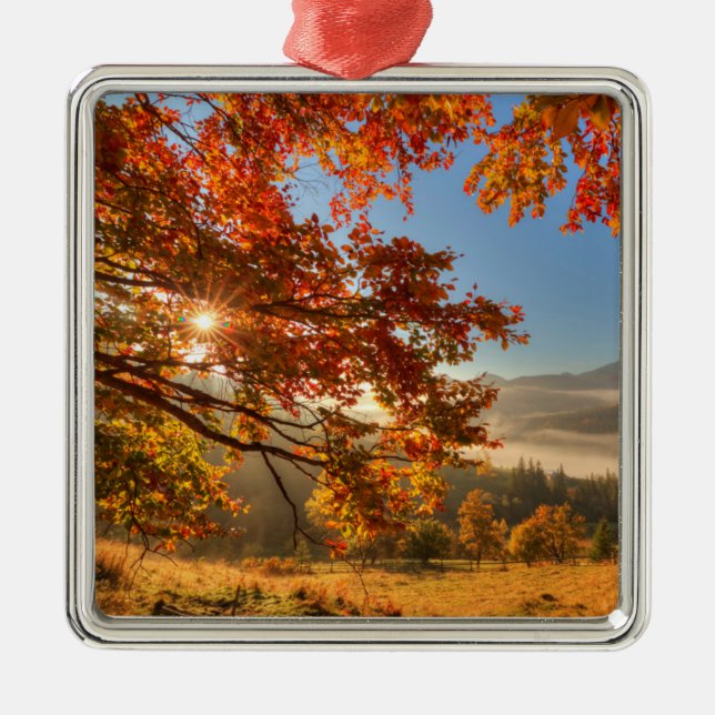 Herbst-Wald in den Bergen Ornament Aus Metall (Vorne)