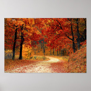 Herbst-Wald Poster