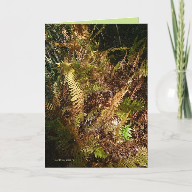 Herbst-Waldboden Karte (Vorderseite)