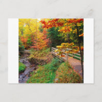 Herbst Wanderweg Alger Landkreis Michigan