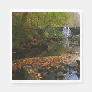 Herbst-Wasserfall und Bach Pennsylvania Natur Serviette