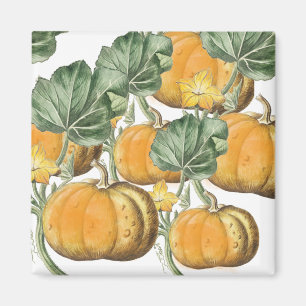 Herbst Wasserfarbe Vintage Kürbisse Magnet