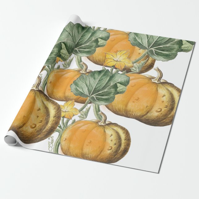 Herbst Wasserfarbe Vintage Pumpkins Geschenkpapier (Ungerollt)