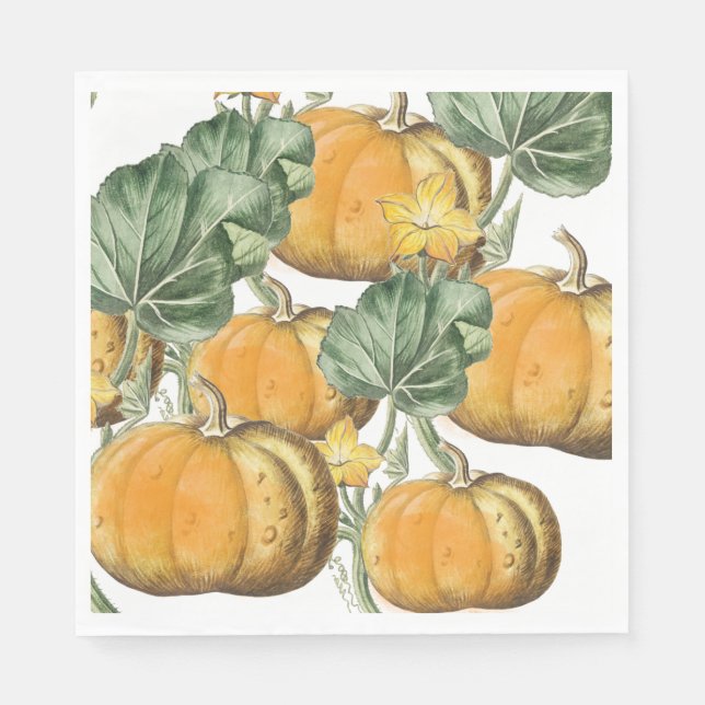 Herbst Wasserfarbe Vintage Pumpkins Serviette (Vorderseite)