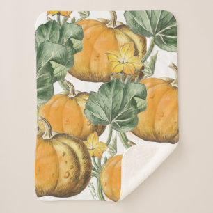 Herbst Wasserfarbe Vintage Pumpkins Sherpadecke