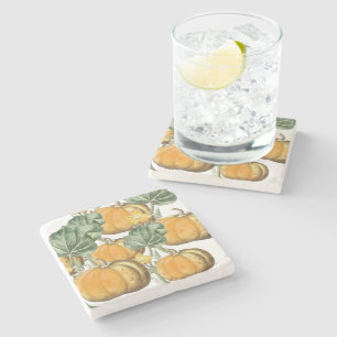 Herbst Wasserfarbe Vintage Pumpkins Steinuntersetzer