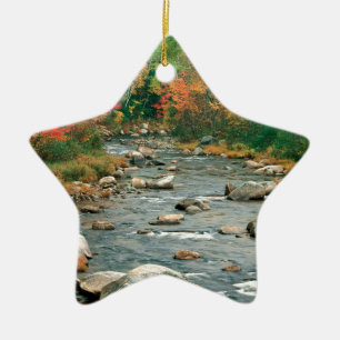 Herbst-weißes GebirgsNew Hampshire Keramikornament