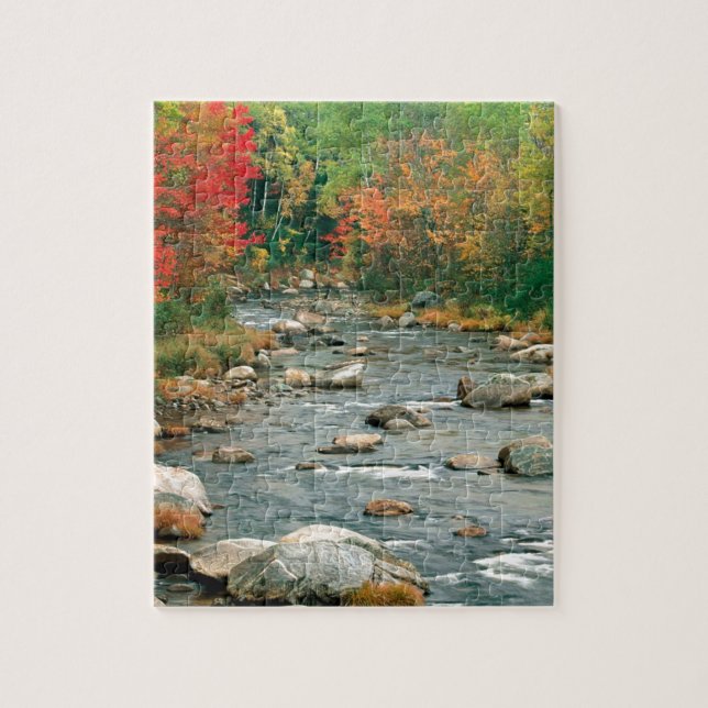 Herbst-weißes GebirgsNew Hampshire Puzzle (Vertikal)