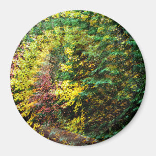 Herbst Whirlwind...... Magnet