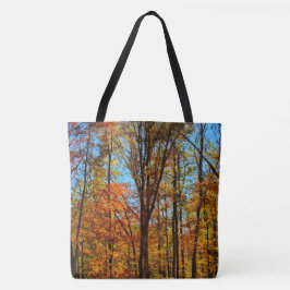 Herbst/Winter