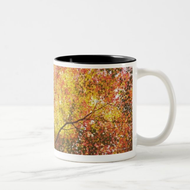 Herbst Zweifarbige Tasse (Rechts)