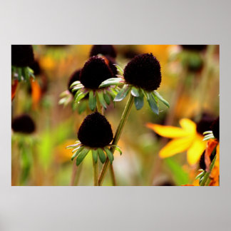 Herbstansätze Poster