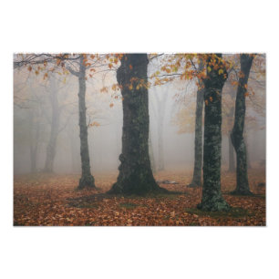Herbstansicht des Nebelwaldes, Großvater 2 Fotodruck