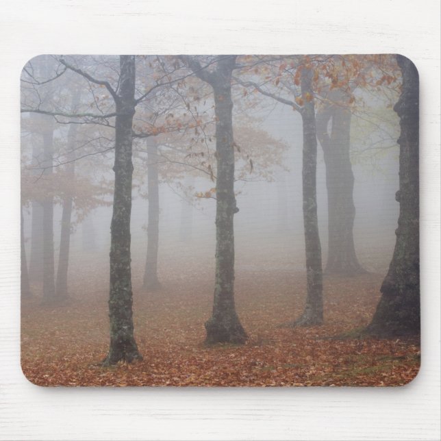 Herbstansicht des Nebelwaldes, Großvater Mousepad (Vorne)