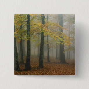 Herbstansicht von nebligem Wald, Grandfather 3 Button