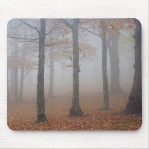 Herbstansicht von nebligem Wald, Großvater Mousepad