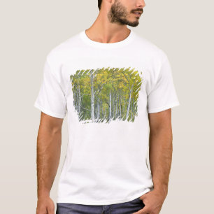 Herbstaspens im McClure Pass in Colorado. T-Shirt