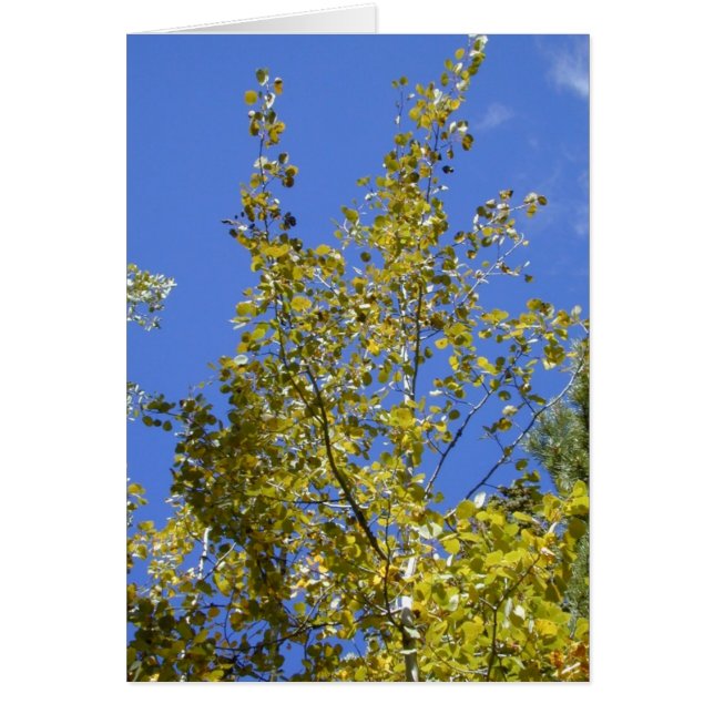 Herbstaspische Blätter II (Vorne)