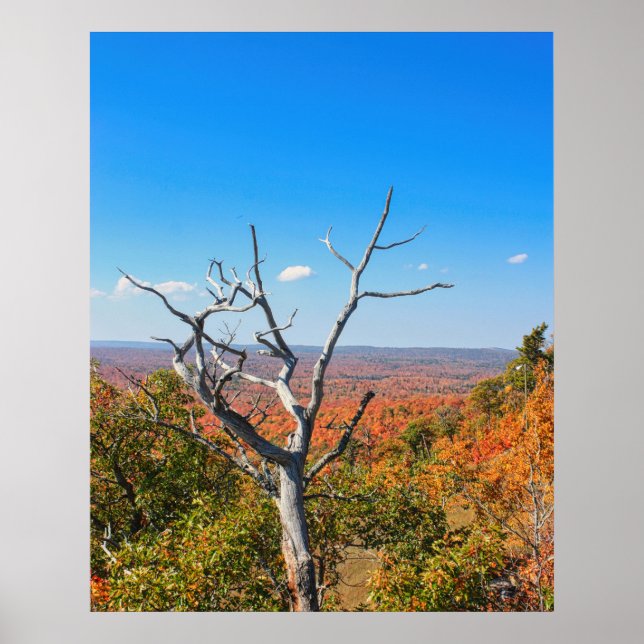 Herbstausblick auf dem Mount Bohemia Poster (Vorne)